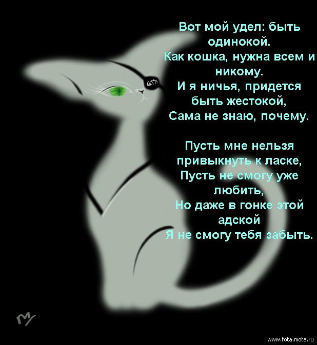 Как я люблю кошку стих Как я люблю кошку стих